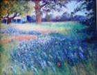 roundtopbluebonners14x11_small.jpg