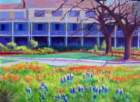 x24hyattregencywildflowers_small.jpg