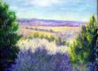 x9mckinneyroughsview_small.jpg